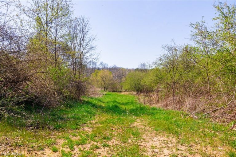 245 Liberty Road, New Concord, OH - Photo 6