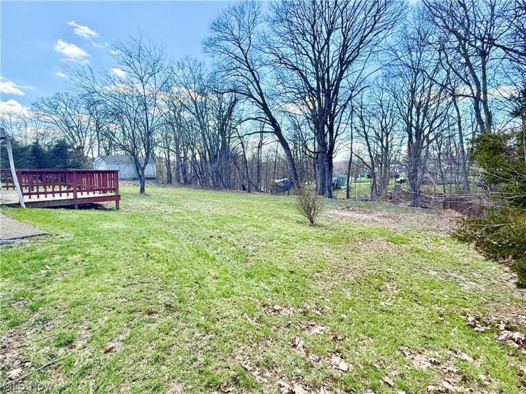 347 Patton Avenue, Wintersville, OH - Photo 7
