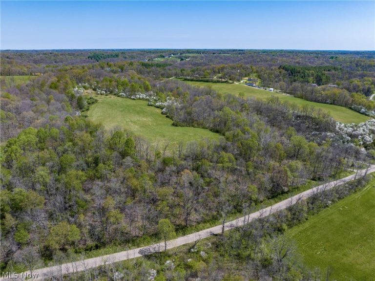 Bagley Road, Mount Perry, OH - Photo 8