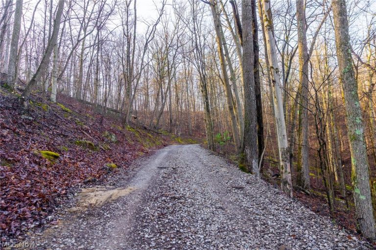 1590 Mcgregor Road, New Matamoras, OH - Photo 2
