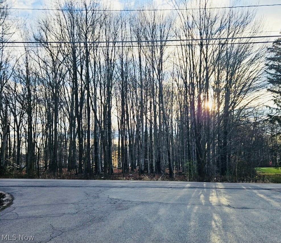 VL Luteran Ln, Poland, OH