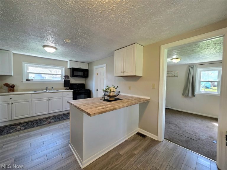 391 Louise Avenue, Kent, OH - Photo 8