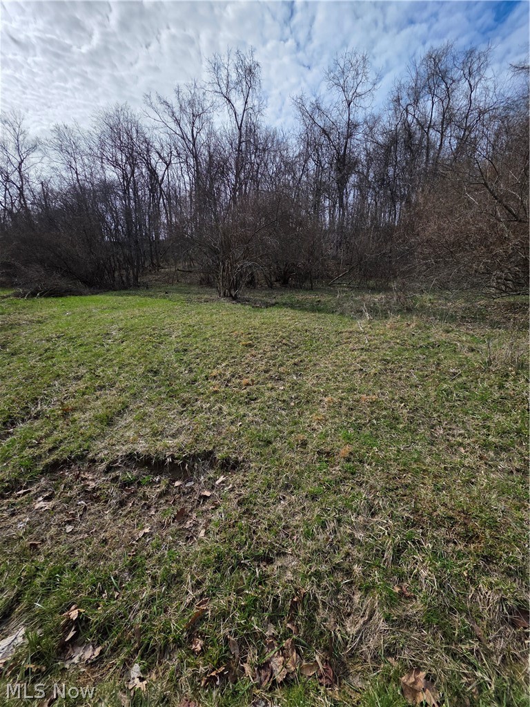 Iroquois Trail, Senecaville, OH - Photo 8