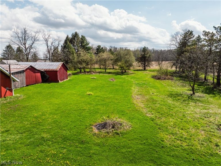 2483 Steiner Road, Creston, OH - Photo 8