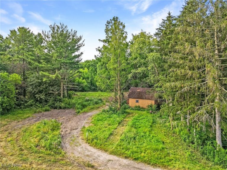 3473 Moon Road, Avon, OH - Photo 6