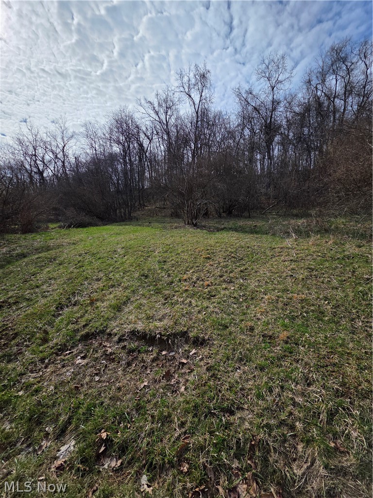 Iroquois Trail, Senecaville, OH - Photo 6