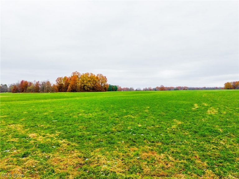 Mahan Denman Road, Bristolville, OH - Photo 4