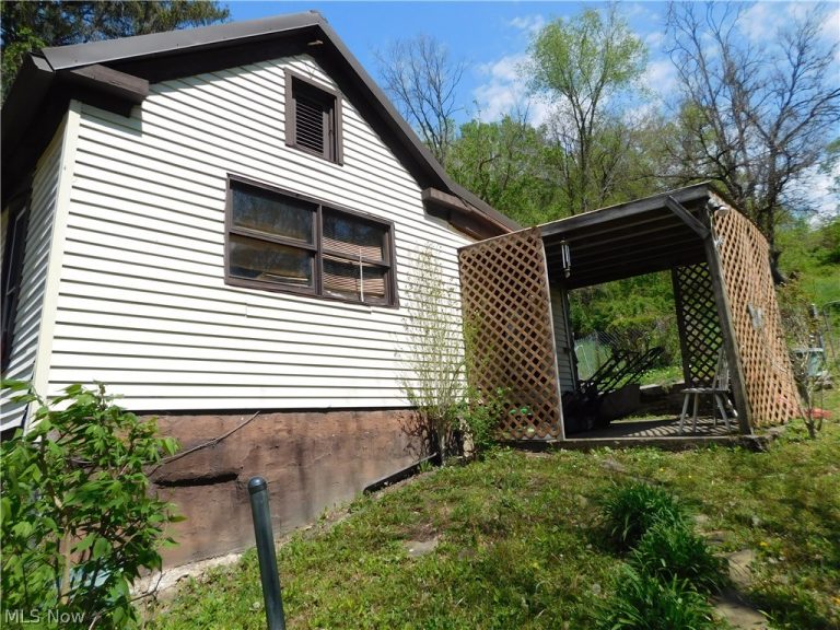 68250 Wrixon Road, Bridgeport, OH - Photo 3