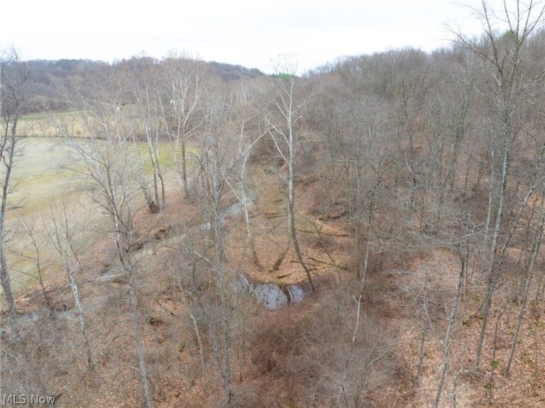 Sarchets Run Road, Cambridge, OH - Photo 8