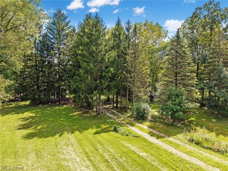 18229 Howe Road, Strongsville, OH - Photo 8