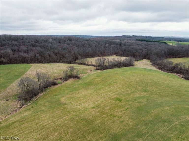 SR-516, Dundee, OH - Photo 3
