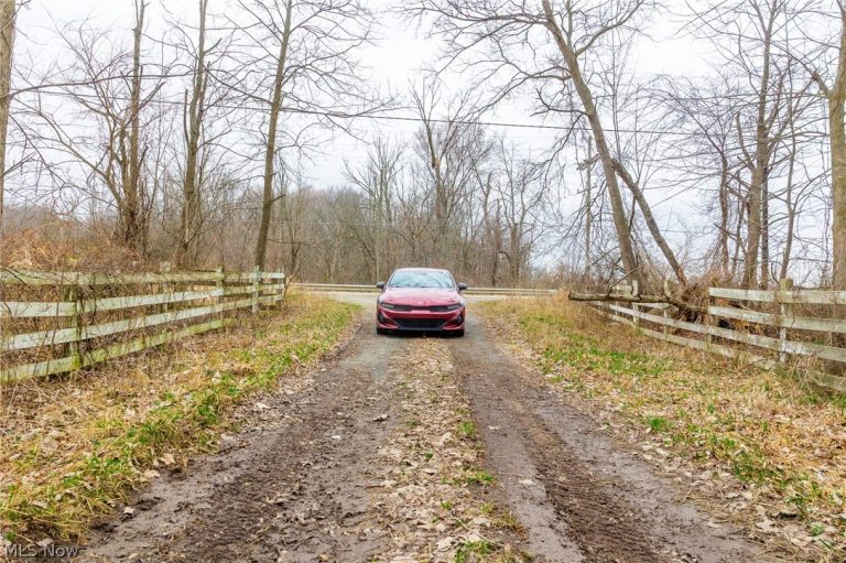 Pigeon Run Avenue, Navarre, OH - Photo 6