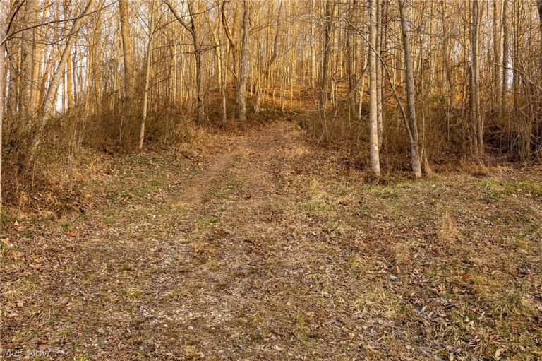 32290 Bailey Run Road, Pomeroy, OH - Photo 4