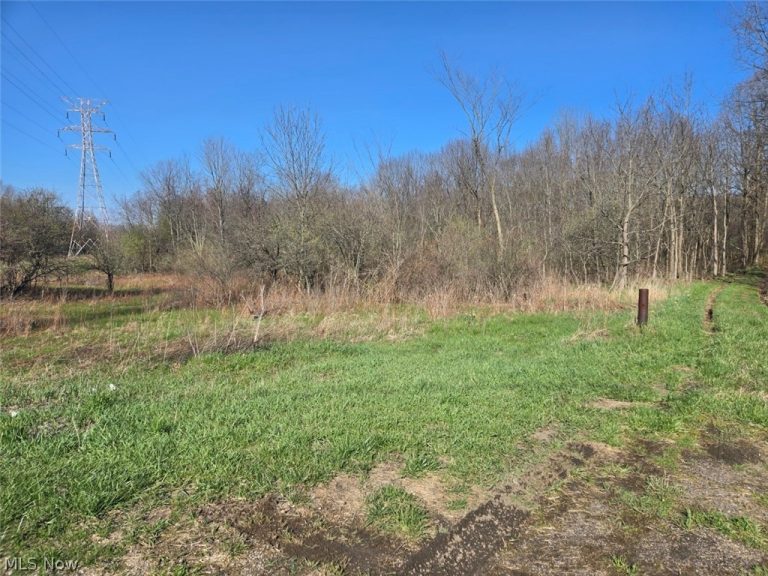 11154 Shetler Avenue, Bolivar, OH - Photo 4