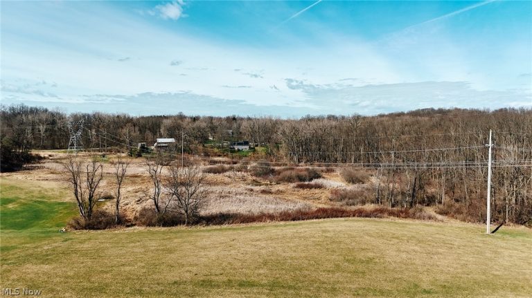 V/L Granger Road, Medina, OH - Photo 4