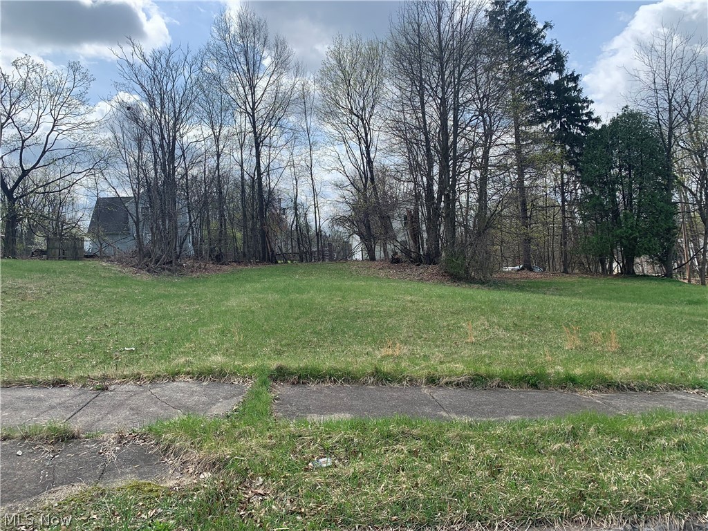 861 Parkwood Avenue, Youngstown, OH