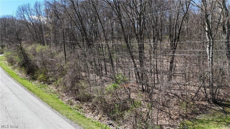 47044 & 47054 Tomahawk Drive, Negley, OH - Photo 8