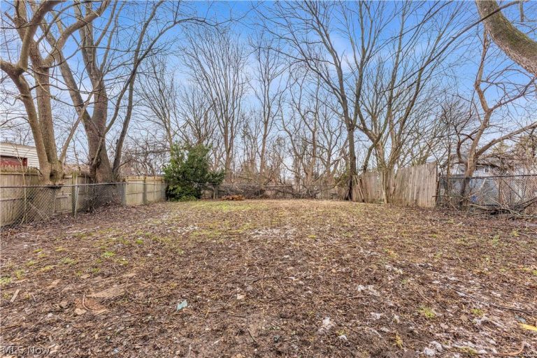 3900 96th Street, Cleveland, OH - Photo 5