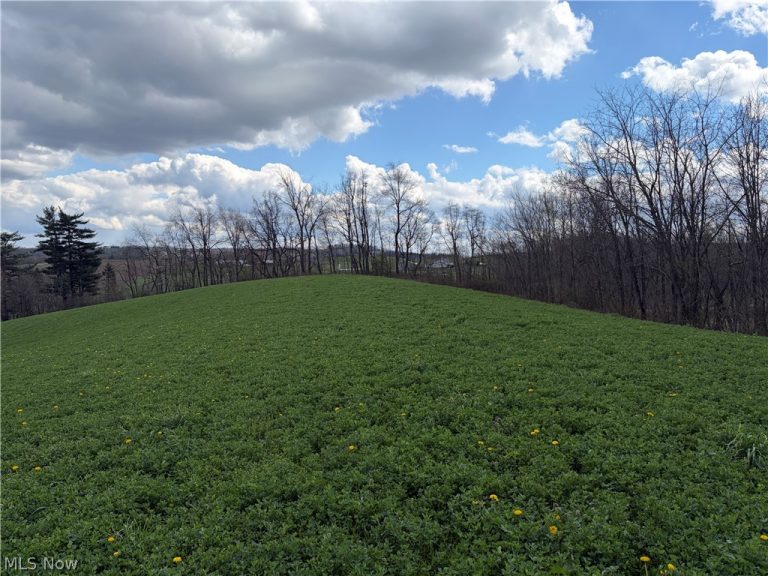 Township Road 177, Baltic, OH - Photo 5