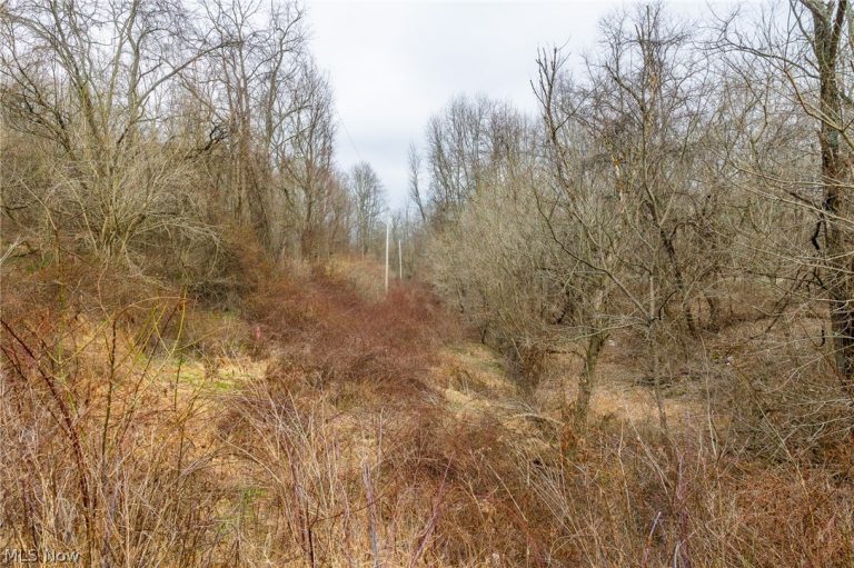 10445 Shannon Road, Frazeysburg, OH - Photo 6