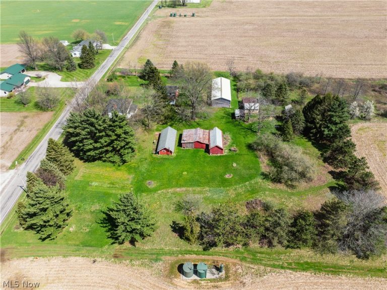 2483 Steiner Road, Creston, OH - Photo 2