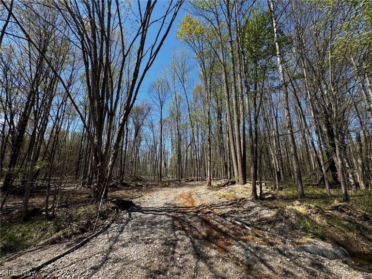 v/l Hines Road, Kingsville, OH - Photo 6