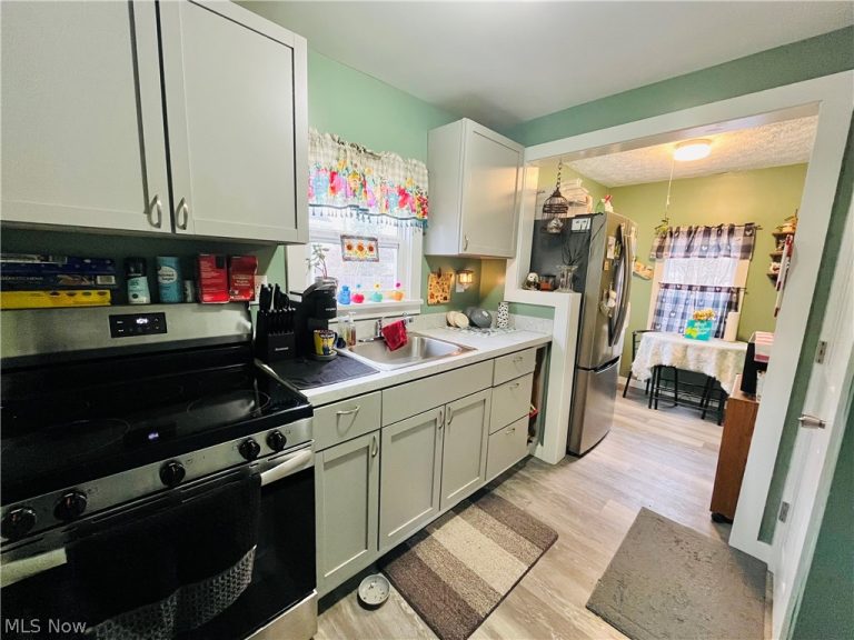 161 West Street, Geneva, OH - Photo 4