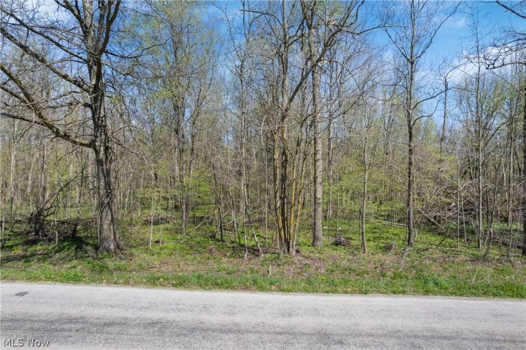 616 Township Road 150, Sullivan, OH, 44880