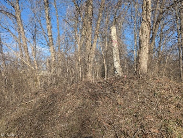 Township Road 215, New Lexington, OH - Photo 5