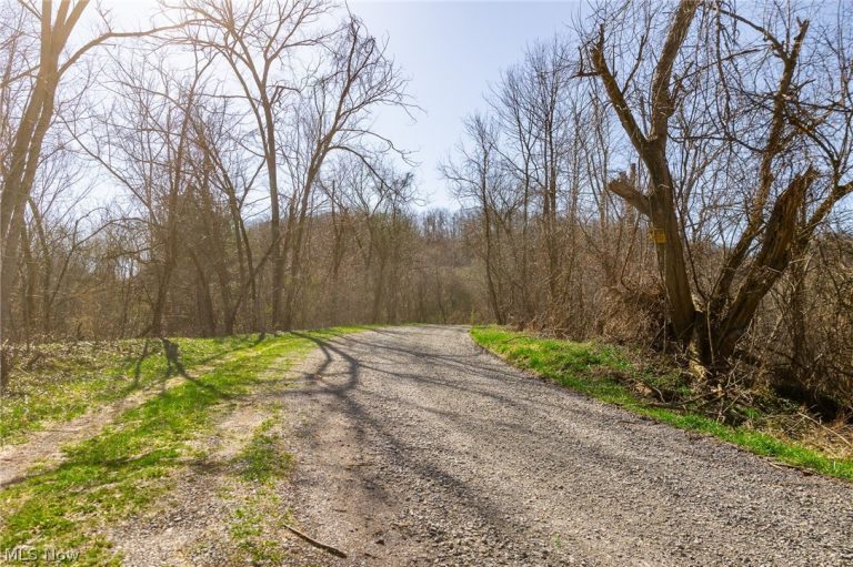 Township Road 135, Dillonvale, OH - Photo 4