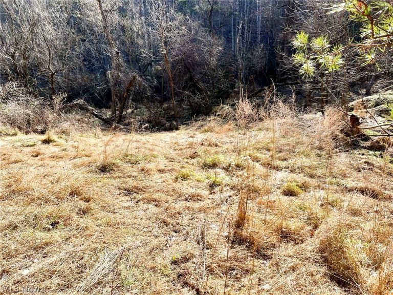 Rd 34, Ripley, WV - Photo 8