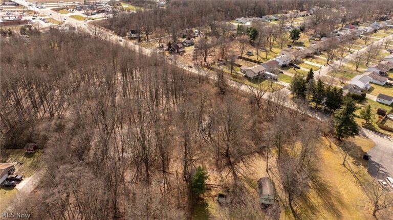 000 Salt Springs Road, Girard, OH - Photo 4