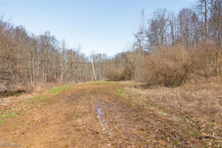 Sheepskin Ridge Road, Lower Salem, OH - Photo 5