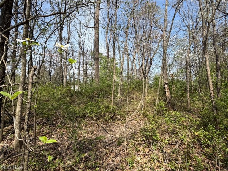 Village Street, Canton, OH - Photo 2