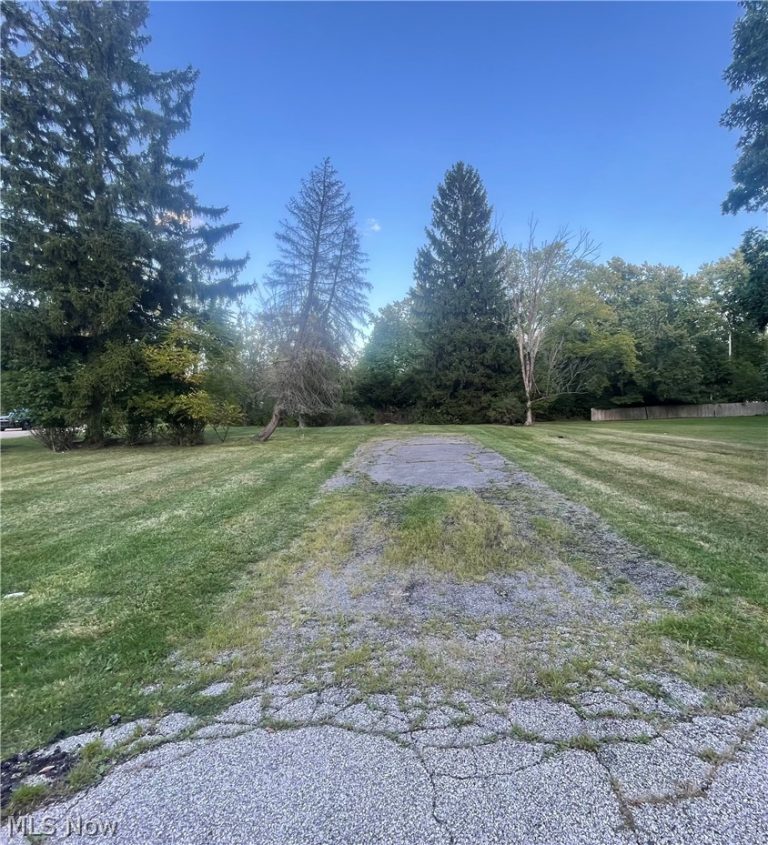 3737 Avondale Road, Woodmere, OH - Photo 2