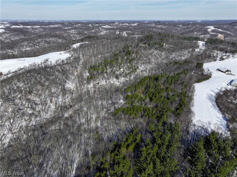 Tract 3 Bondi Ridge Road, Woodsfield, OH - Photo 6
