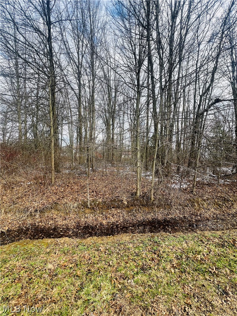 Lot 113 Breezewood Lane, Orwell, OH - Photo 3