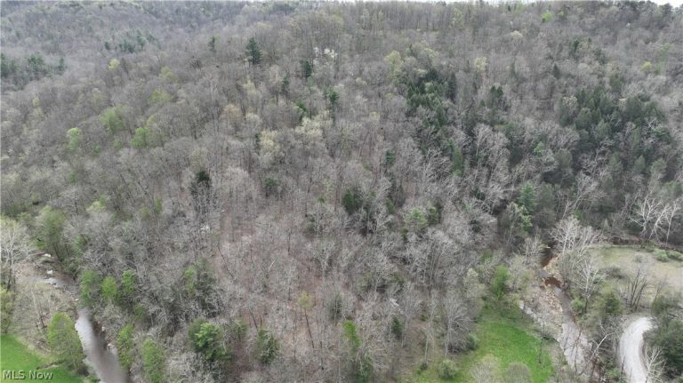 Sugar Creek Road, St Marys, WV - Photo 6