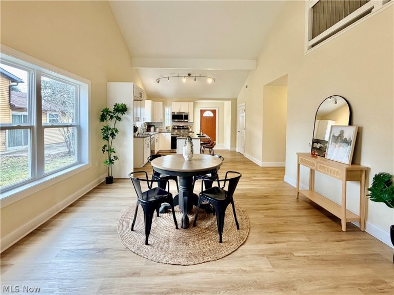 246 Hamilton Street, Oberlin, OH - Photo 8
