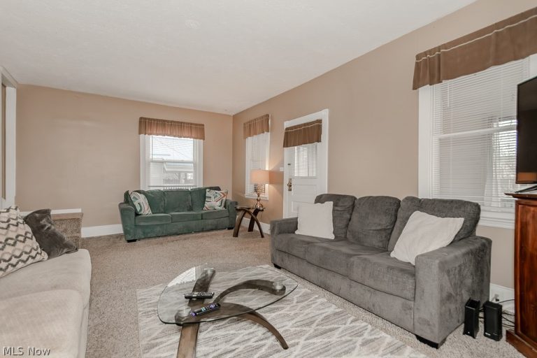 107 North Avenue, Geneva, OH - Photo 8