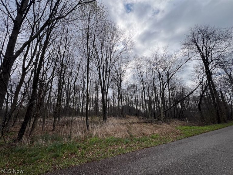 Schubert Avenue, Alliance, OH - Photo 8