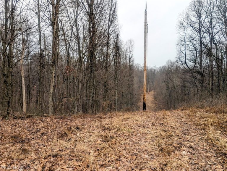 Tract 9 Township RD 272, Lewisville, OH - Photo 4