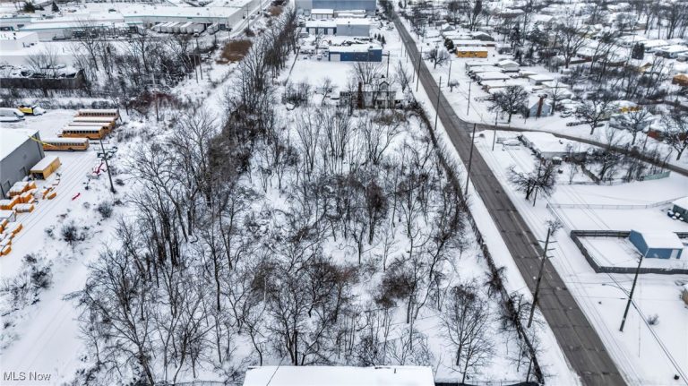 17001 Miles Avenue, Cleveland, OH - Photo 4