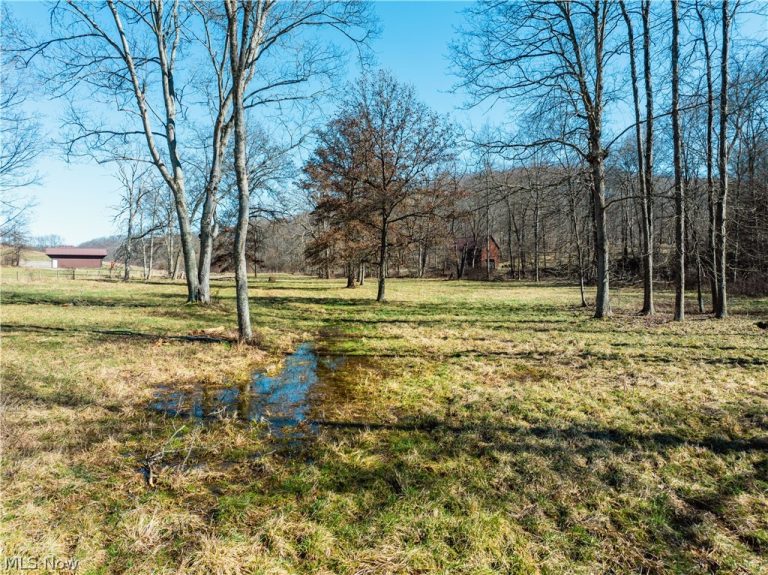 Eckley Road, Jewett, OH - Photo 2
