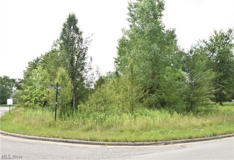 Saddlebrook Lot 153 Drive, Boardman, OH - Photo 2