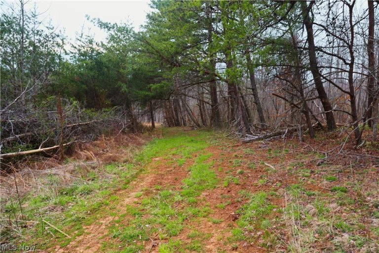 Brimstone Road, Coolville, OH - Photo 4