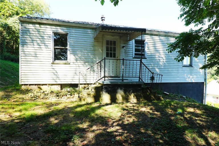 126 Ohio Street, Mingo Junction, OH - Photo 3