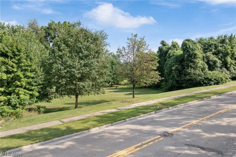 Fortuna Drive, Akron, OH - Photo 4