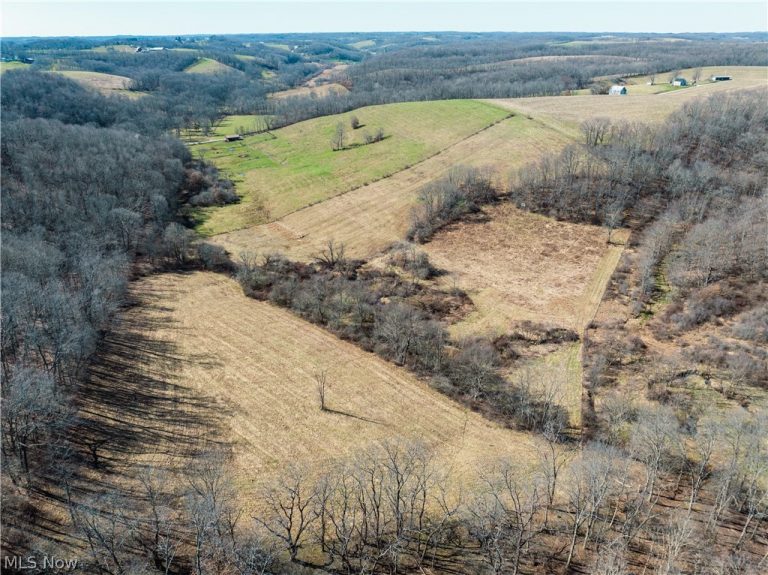 Eckley Road, Jewett, OH - Photo 3