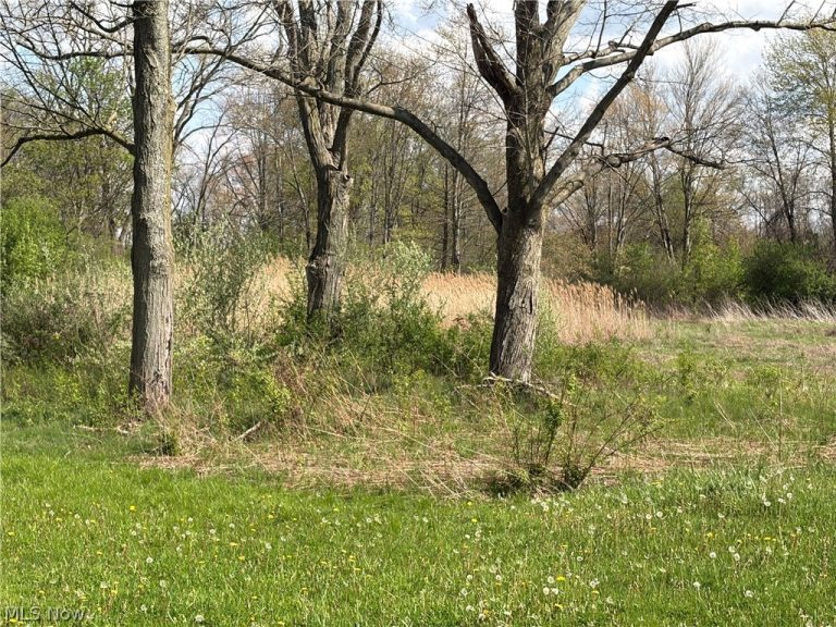 V/L Kibler Road, Akron, OH - Photo 4